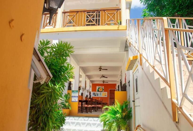 استودیوی استاندارد, St. James Guesthouse