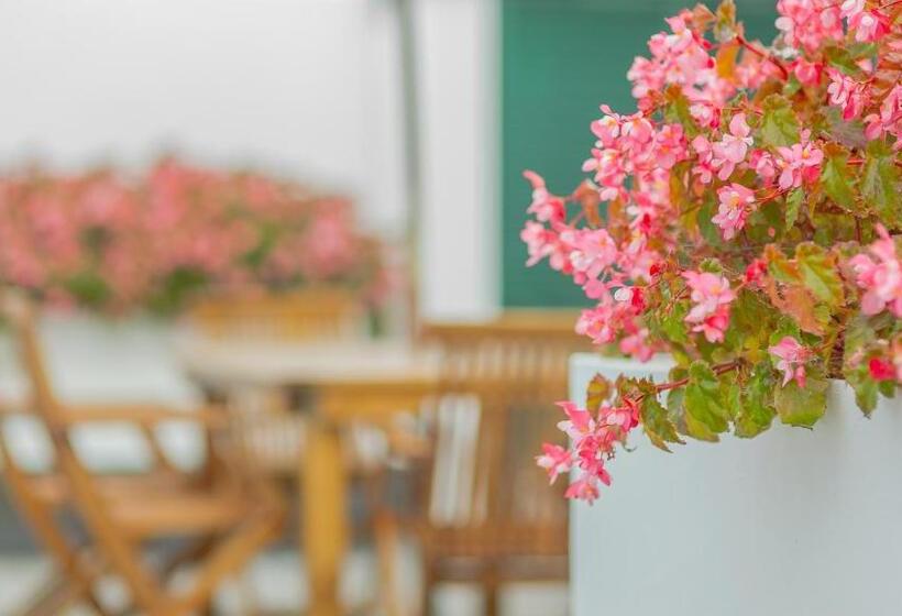 اتاق استاندارد یک نفره, Comercial Azores Boutique