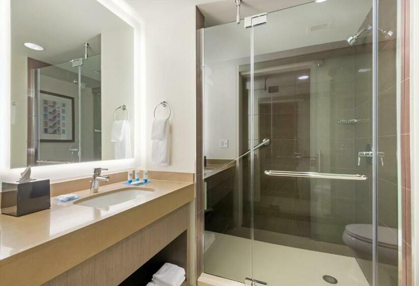 스탠다드 룸 킹사이즈 침대, Hyatt House Denver/downtown
