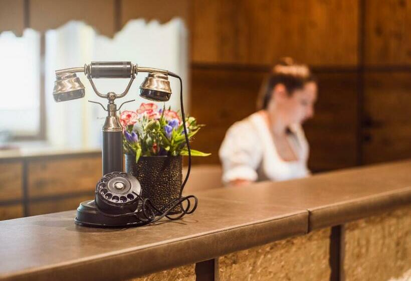 اتاق اکونومی, Living & Spa Vitalhotel Edelweiss