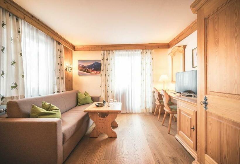 舒适型房间, Schartner