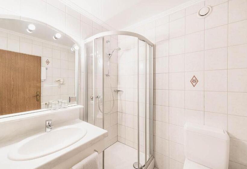 اتاق استاندارد با چشم‌انداز, Living & Spa Vitalhotel Edelweiss