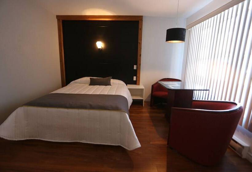 高级大房间, Motel Le Riviera