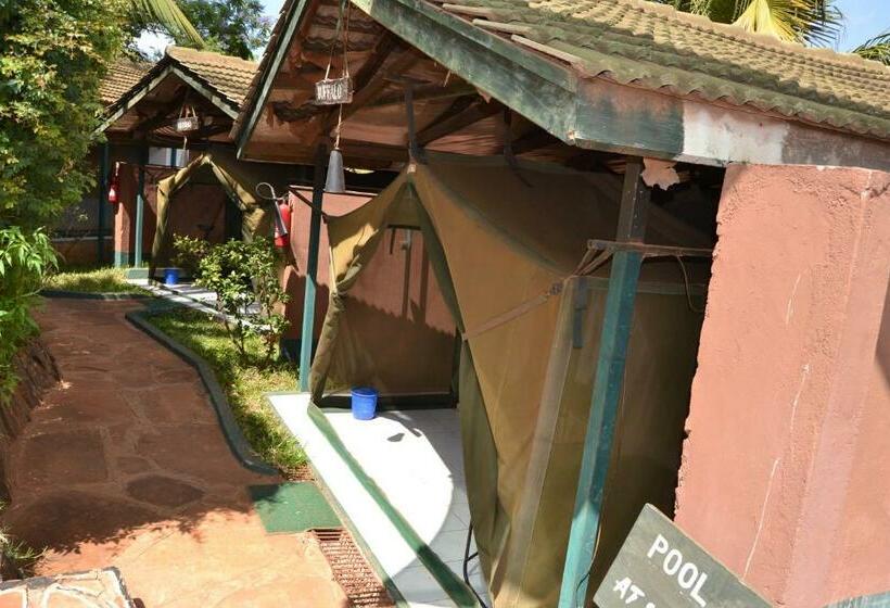 标准单人间, Impala Safari Lodge