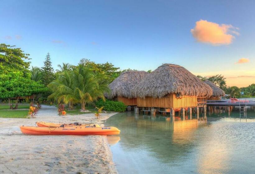 스탠다드 방갈로, St. George's Caye Resort