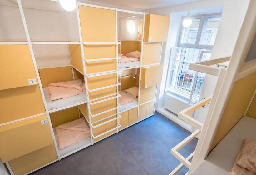 共用房间的床, Avenue Hostel