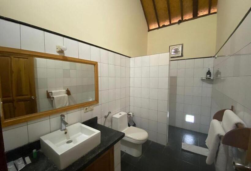 , New Starlight Hotel Lovina