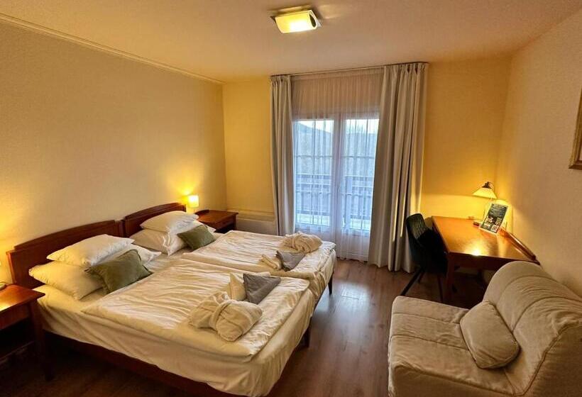 Номер Стандарт, Szent Orbán Erdei Wellness Hotel és Residence