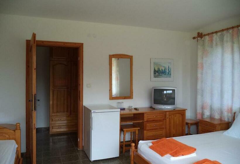 اتاق راحتی, Victoria Sinemorets Guest House