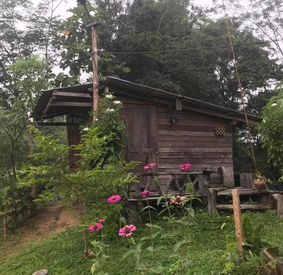 غرفة قياسية حمام مشترك, สวนบ้านนอก Suanbaannoak