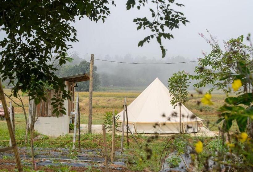 Standard Tent, สวนบ้านนอก Suanbaannoak
