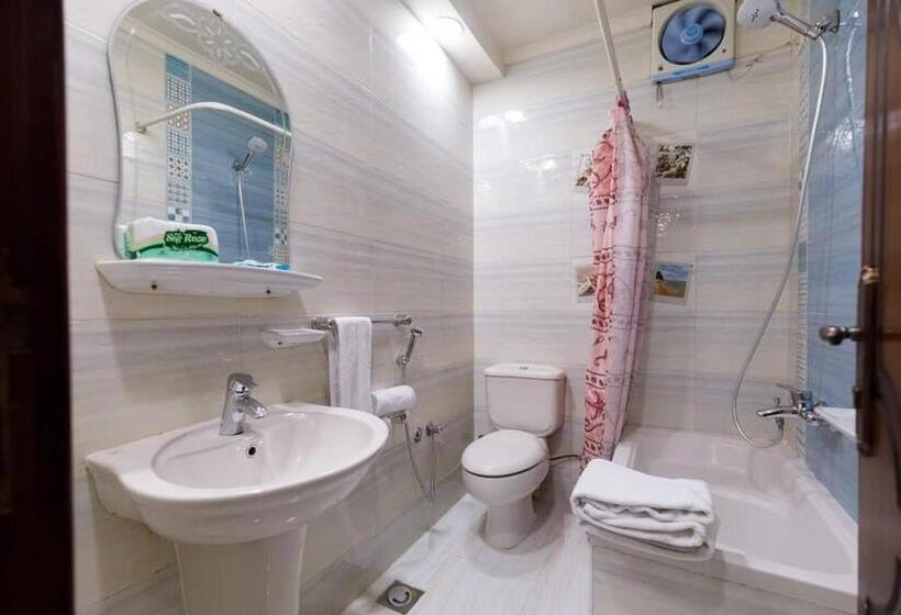 اتاق استاندارد, Badr Hotel Assiut