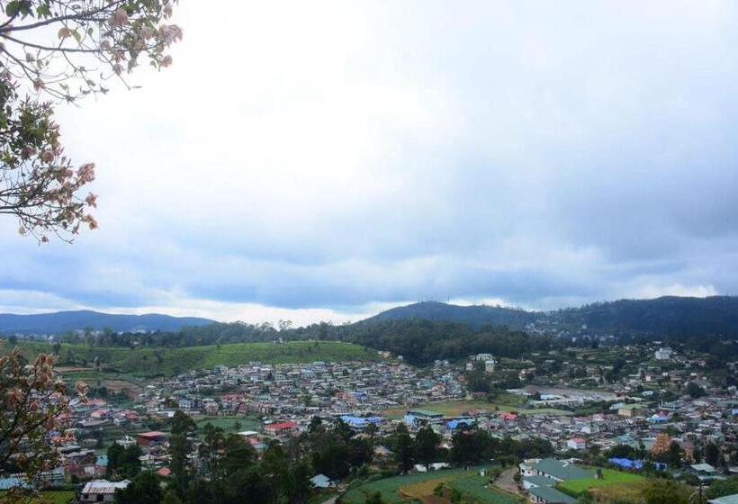 سوئیت جونیور با چشم‌انداز کوهستان, Top Moons