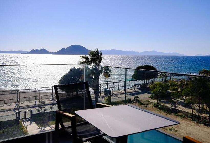 Апартаменты 1 Спальня Вид на Море, Bodrum Ada Hotel Turgutreis