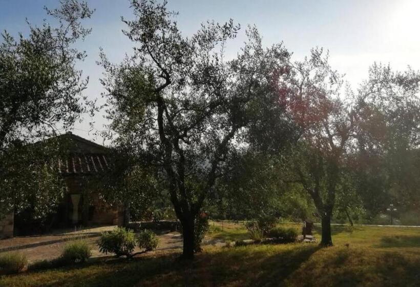 Апартаменты Superior 1 Спальня, Agriturismo Fattoio Alle Ripe