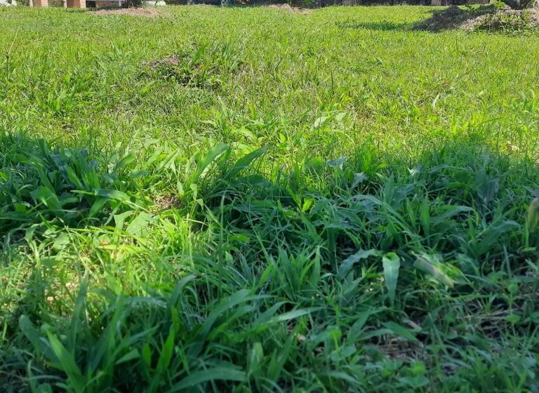 패밀리 룸 가든 전망, Hacienda Rosa Franca