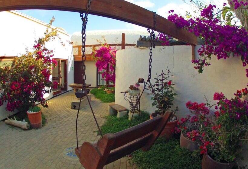 اتاق اکونومی, Alternative Space B & B