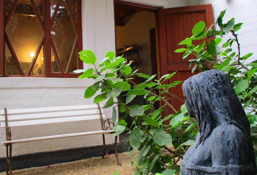 اتاق اکونومی, Alternative Space B & B
