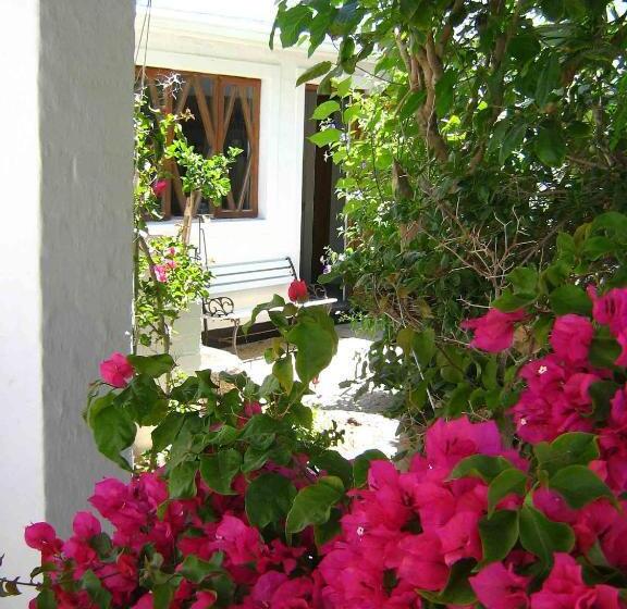 اتاق اکونومی, Alternative Space B & B