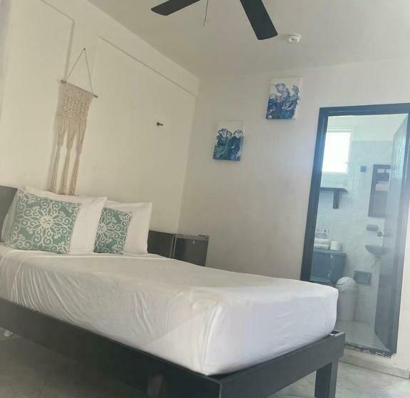 Номер Стандарт, Caracol Isla Mujeres