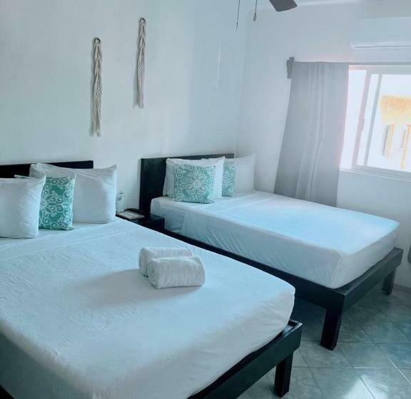 Студия Стандарт, Caracol Isla Mujeres