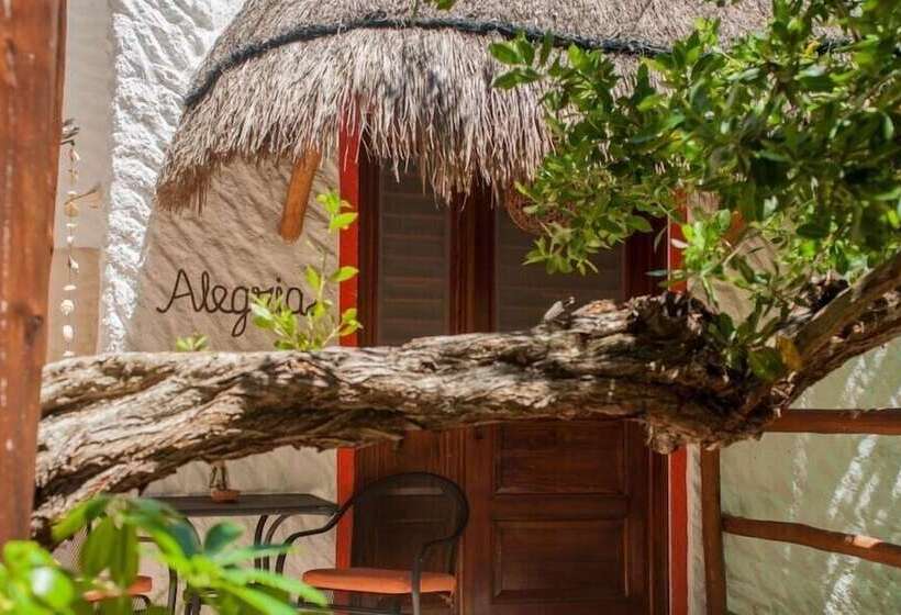 استودیوی استاندارد, Villa Los Mangles Boutique