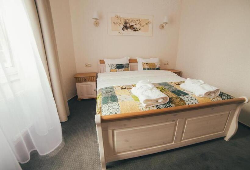 غرفة قياسية, Svityaz Resort