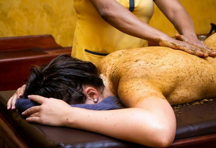 חדר דלוקס, Jasmin Villa Ayurveda Resort
