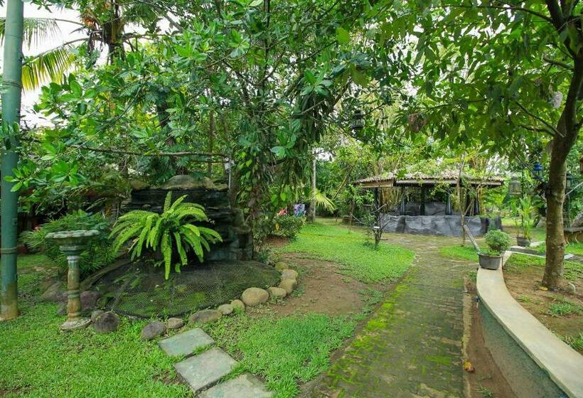 Апартаменты 2 Спальни, Villa 80