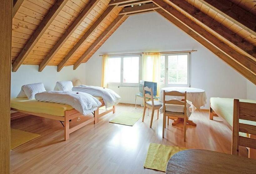 Семейный Номер, Freihof Embrach