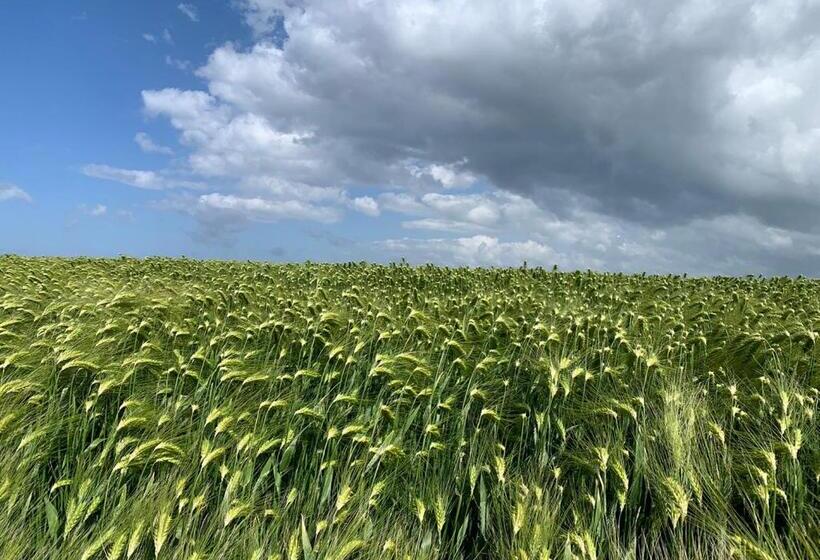 스탠다드 룸, Waddenhoes Gastenverblijven