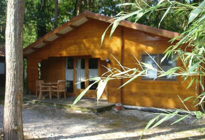 シャレー1寝室, Motel  Bungalow & Chaletpark De Brenkberg