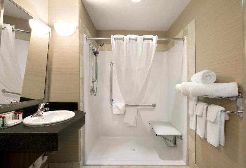 غرفة قياسية سرير كينج لذوى الإحتياجات الخاصة, Ramada by Wyndham Conklin