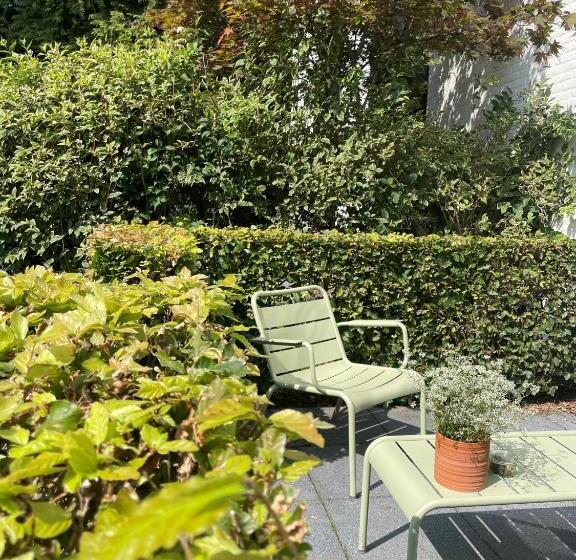 스탠다드 테라스 룸, Witte Berken Natuur