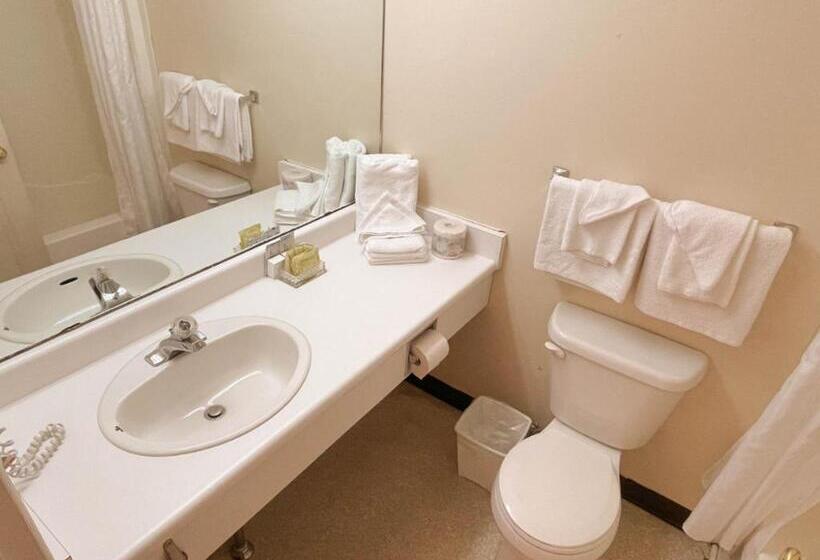 إستوديو قياسى سرير كينج, Silverwood Motel