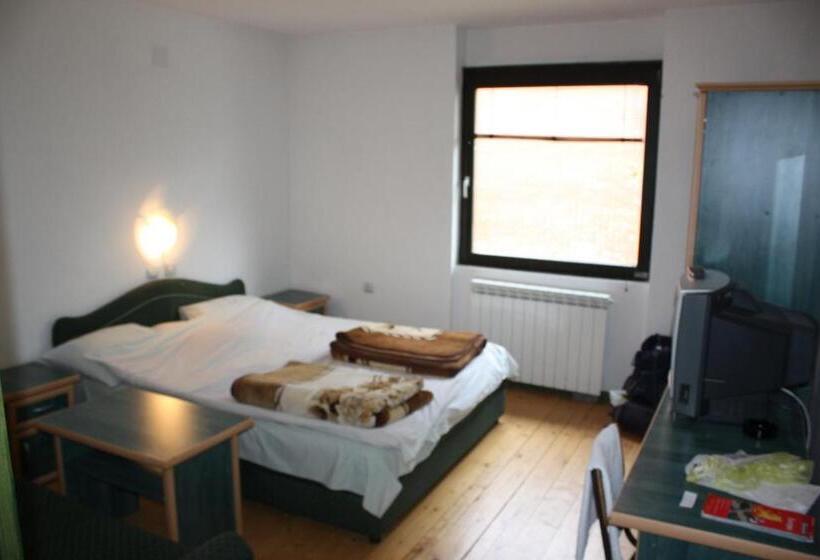 استودیوی استاندارد, Guesthouse Kraljica