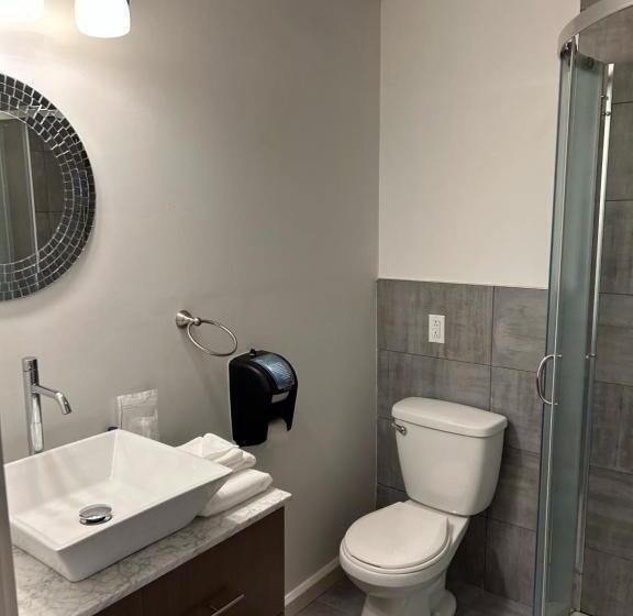 Номер Стандарт, Complexe Dix80