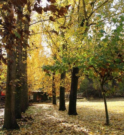 Номер Стандарт Трехместный, Hostel El Lago, Caceres