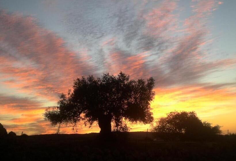 Бунгало Стандарт, Centro De Naturaleza Cañada Verde El Parque De Naturaleza Con Mas Experiencias De Andalucía