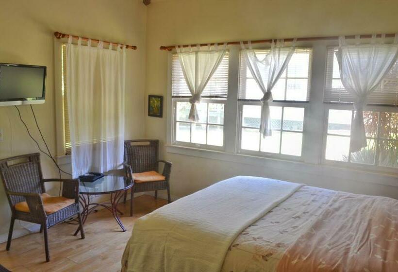 إستوديو ديلوكس, Banyan Tree B&b Retreat