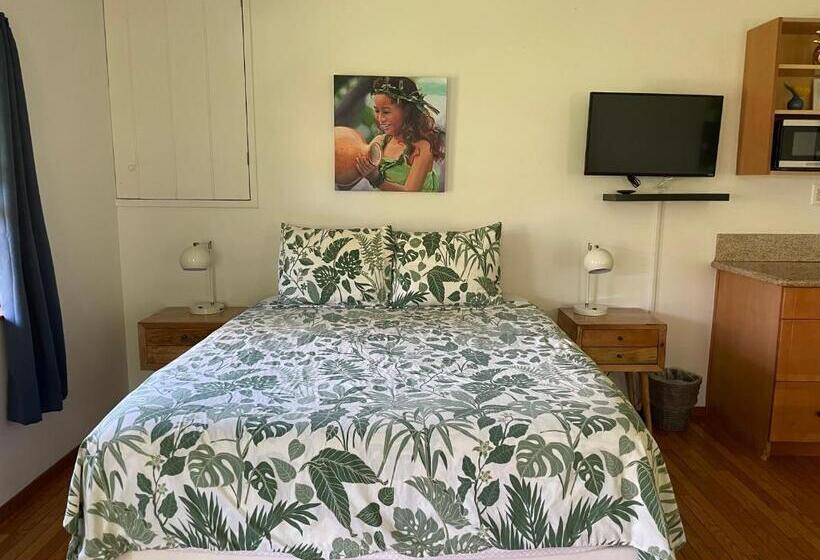 غرفة قياسية سرير كينج, Banyan Tree B&b Retreat