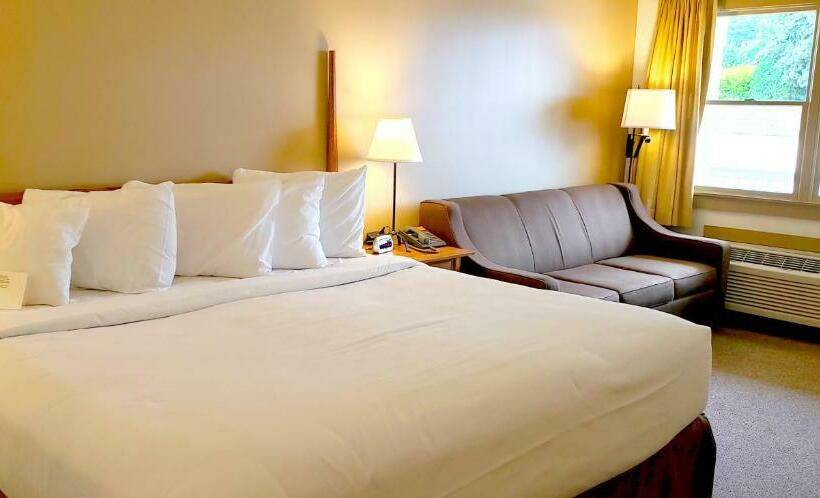 스탠다드 룸 킹사이즈 침대, Berlin Heritage Inn