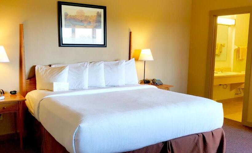 스탠다드 룸 킹사이즈 침대, Berlin Heritage Inn