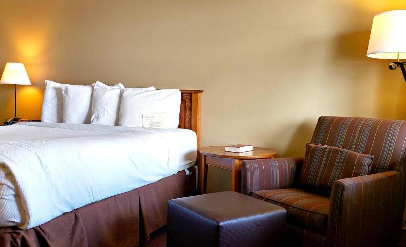 장애인을 위한 스탠다드 룸, Berlin Heritage Inn
