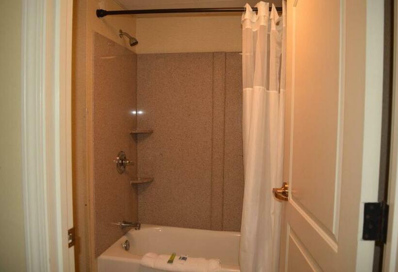 Номер Стандарт, Atkinson Inn & Suites