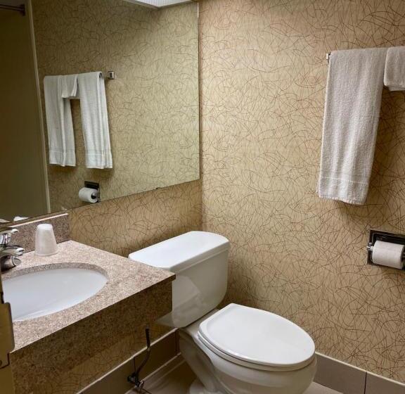 Люкс с гидромассажем, Budget Inn Temple Hills
