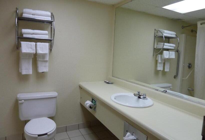 Стандартный Номер Кровать Кинг, Katahdin Inn & Suites