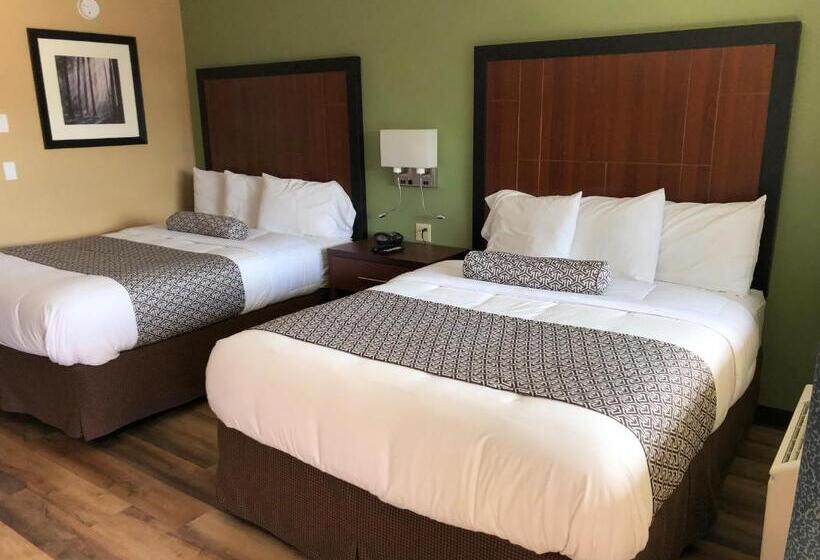 Номер Стандарт, Knights Inn Motel