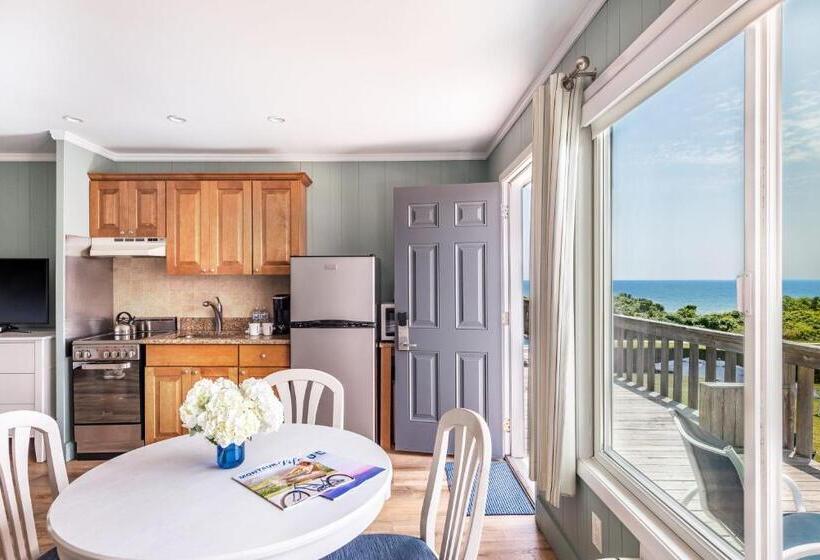 סטודיו סטנדרט, מיטה זוגית, Hartman's Briney Breezes Beach Resort