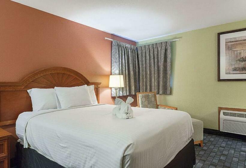 Номер Стандарт, Rodeway Inn